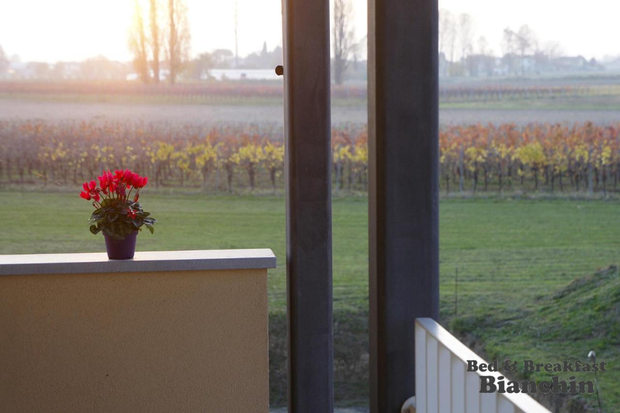 B&B Bianchin Via Trieste 67 Fiumicello-Villa Vicentina Sant'Antonio  エクステリア 写真